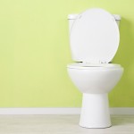 interesting facts about toilets