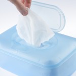 Are wet wipes really flushable?