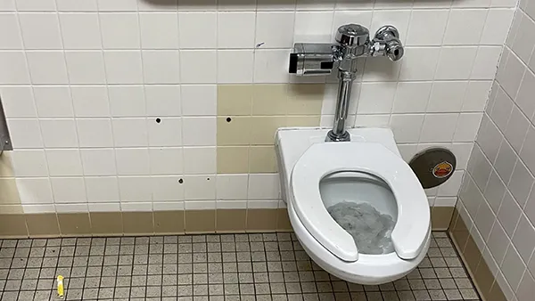 Blocked-Toilet Blocked Drain